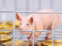 上市猪企6月销售简报集中出炉：肉价又跌了！